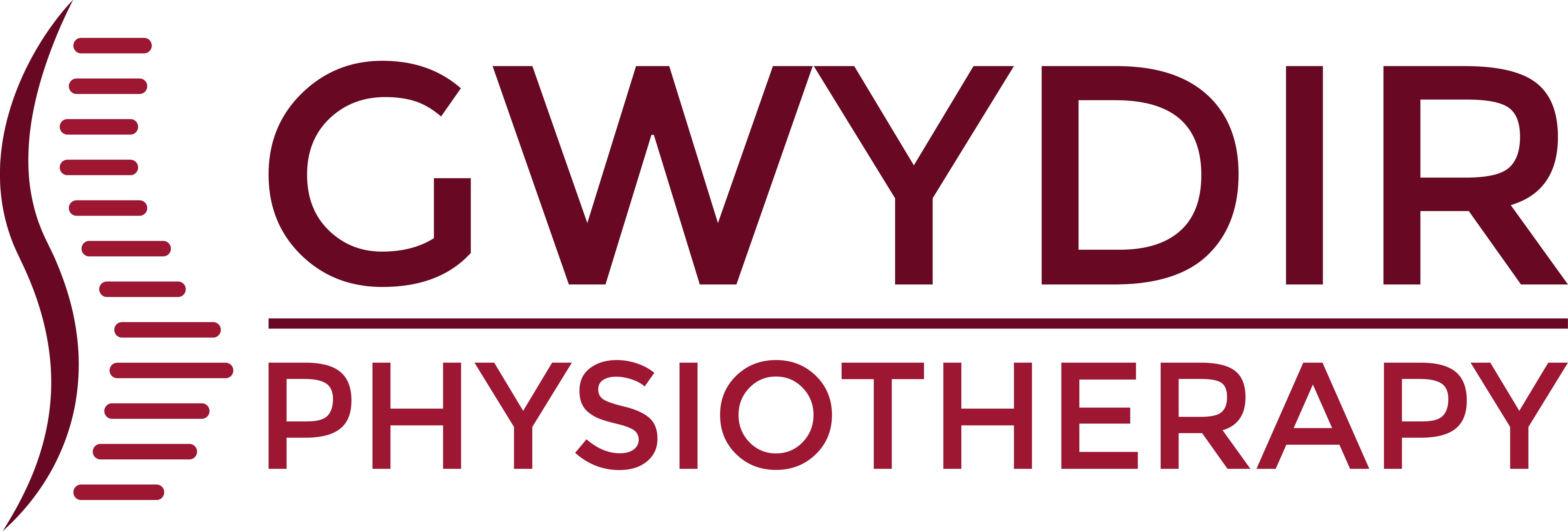 Gwydir Physiotherapy Logo